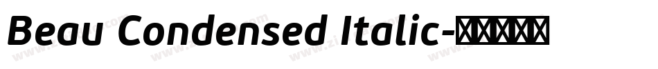 Beau Condensed Italic字体转换